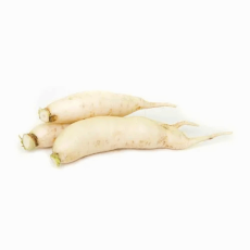 Radish 