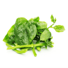 Basale Leaf