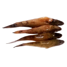 Kolkata Bele Fish